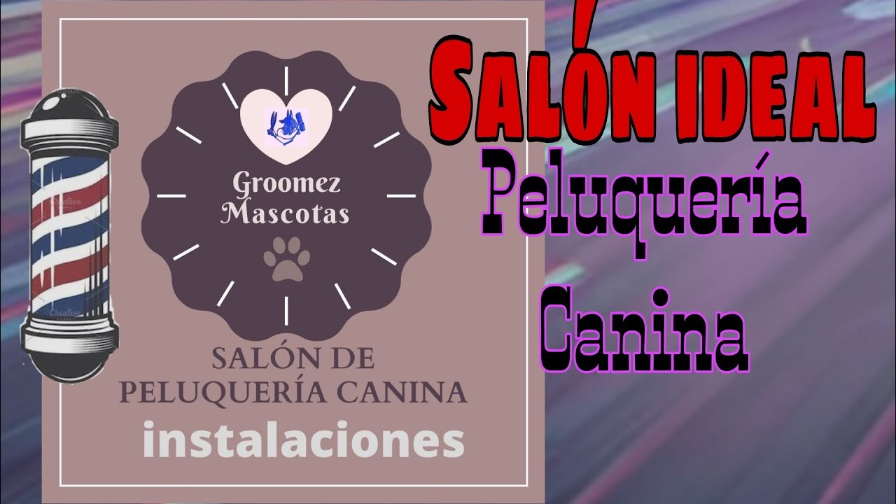 Un Salón de Peluquería Canina Ideal