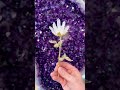 Clear quartz cluster