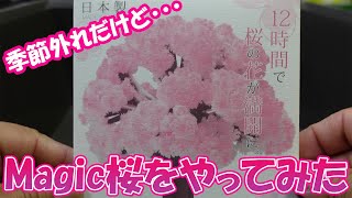 0530【日曜日】#17 季節外れだけど･･･　Magic桜をさくらやってみた