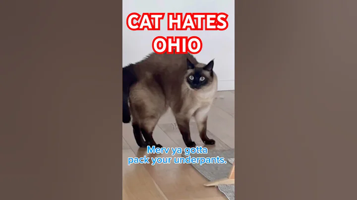 CAT HATES OHiO (EVERY TRIP SO FAR) lmoa #bagagwa #spookyseason #catsofyoutube #shortsfeed #shorts