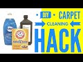 DIY CARPET CLEANING HACK 2020 | HOT TEA WITH LEA BEE