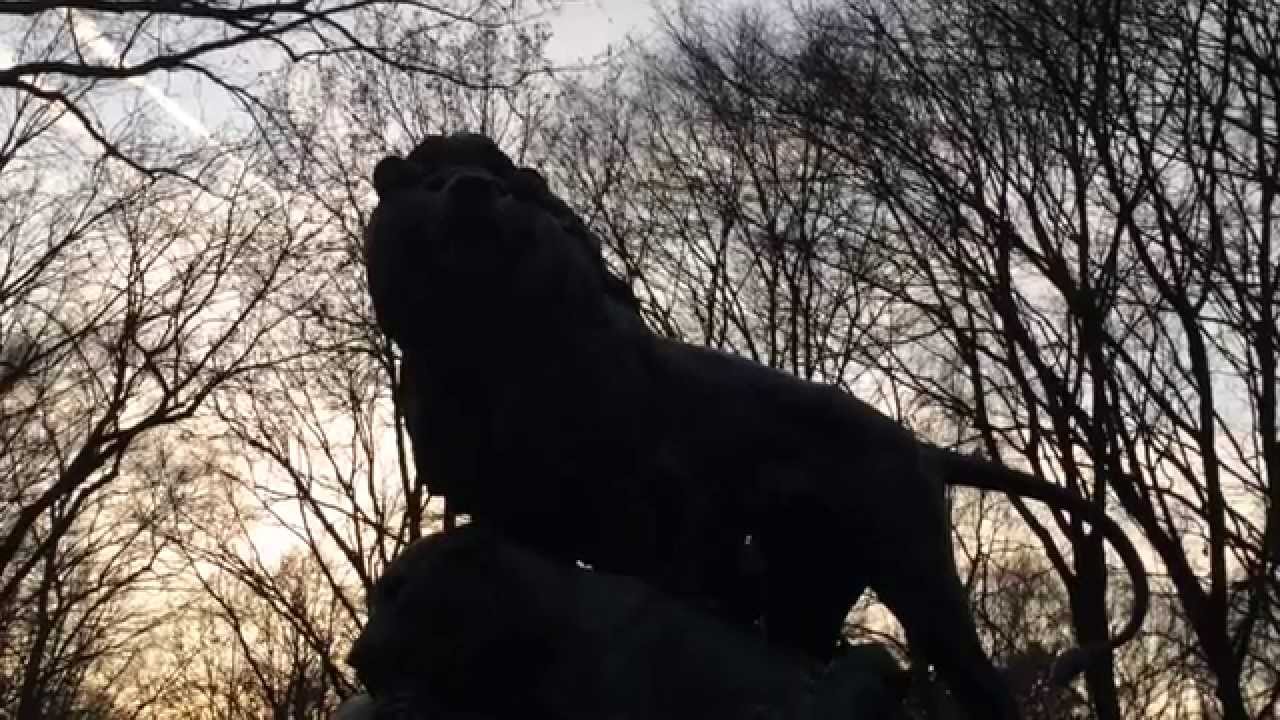 Happy Birthday Chum! [VEDA 1]