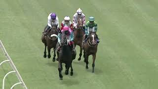 Vidéo de la course PMU PRIX WSB GRAND HERITAGE 10 DECEMBER CLASSIFIED STAKES