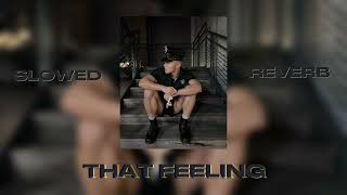Simon Blaze , Razah - That Feeling (slowed + reverb)