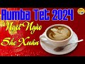 Nhạc Phòng Trà Chào Xuân 2024 | Hoà Tấu Rumba Nhạc Xưa | Nhạc Không Lời Hay Nhất