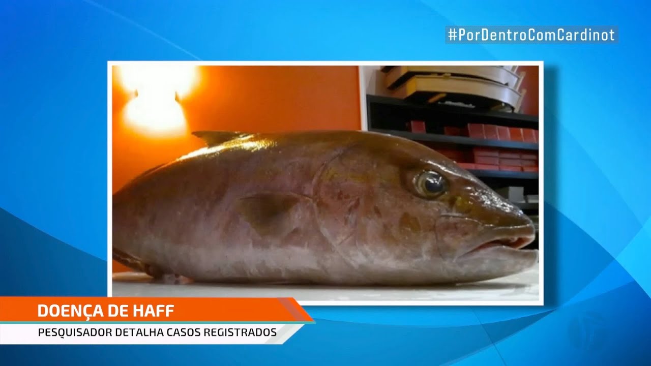 Síndrome de Haff: peixe suspeito recolhido