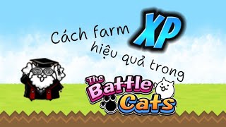 Cách cày XP trong The Battle Cats