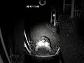 Surreal Encounters on Suburban Cameras