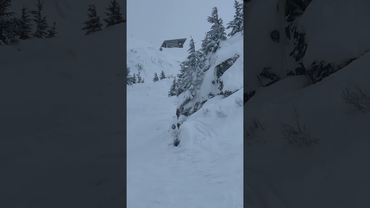 Pro skiing free ride run 