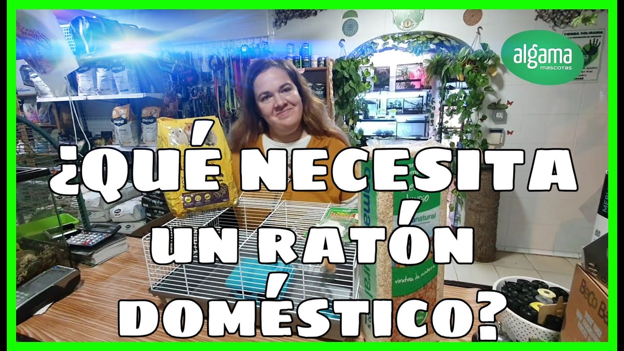 Kit de Ratón Doméstico | CUIDADOS BÁSICOS PARA RATONES
