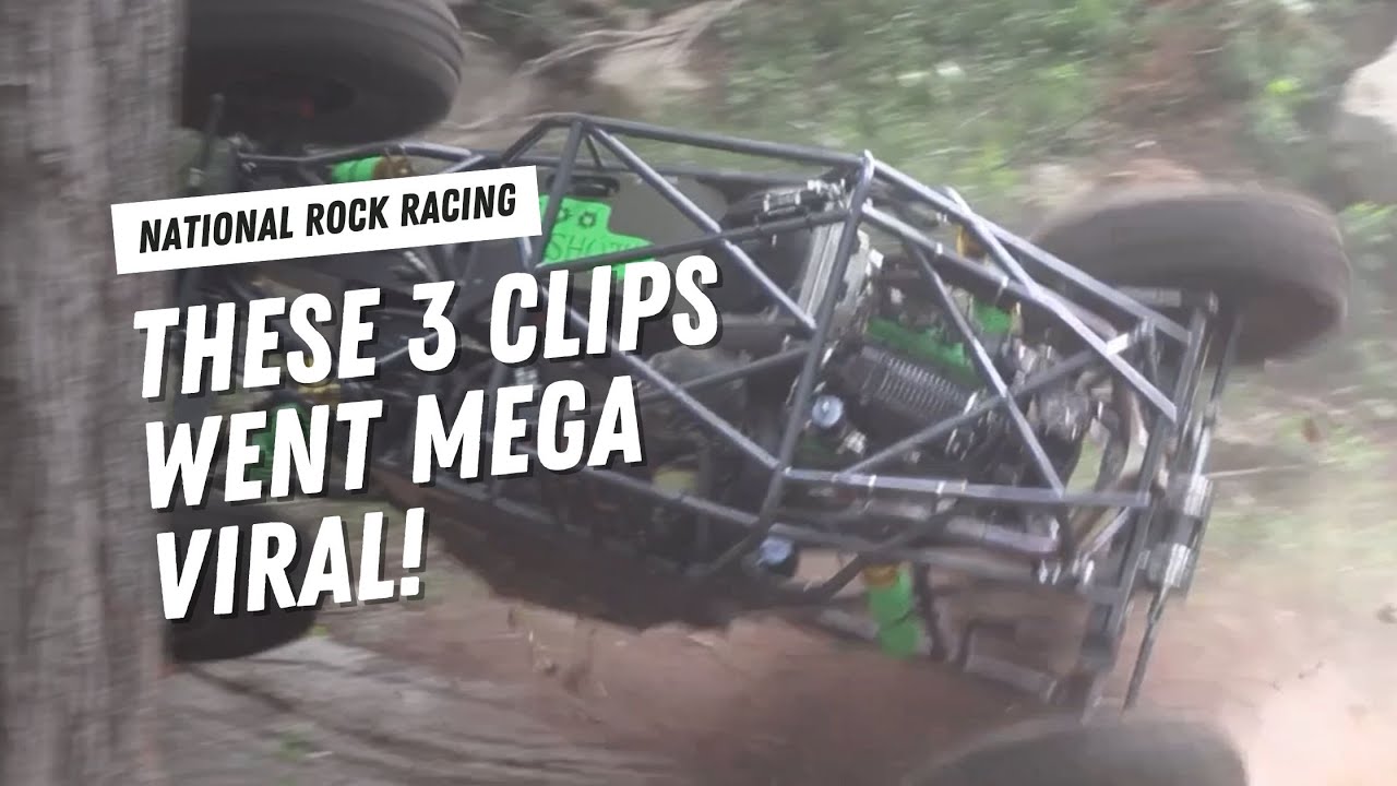 [ TOP 3 ] ROCK BOUNCERS VS. TREES