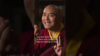 Experience in Meditation with Mingyur Rinpoche screenshot 4