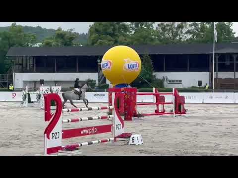 Tweedledee DL CSI1* Sopot
