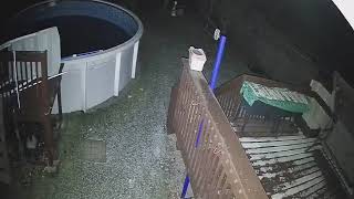 Light Orb in the Backyard - Paranormal Activity 1