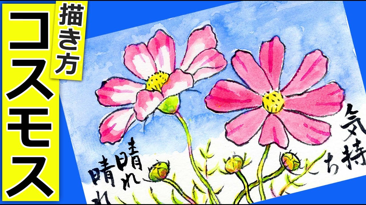 コスモスの花の描き方4 ガーデニングの絵手紙スケッチ 9月 10月 11月 秋の花の描き方 秋桜 Youtube