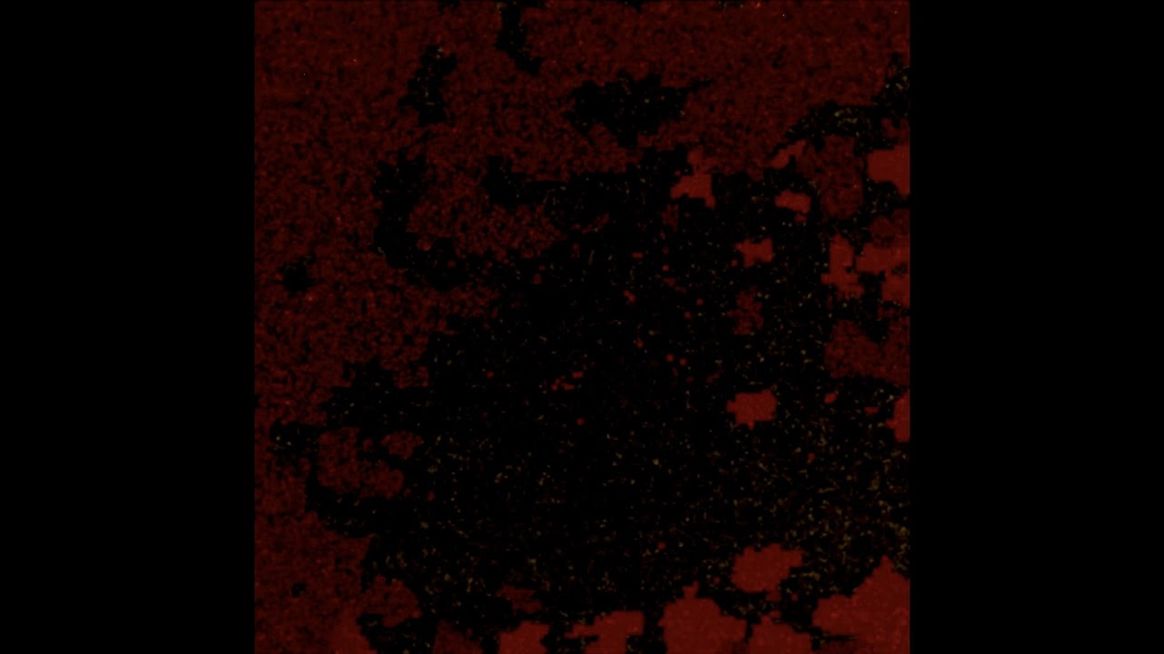 Whining Isolation - /////////////////////