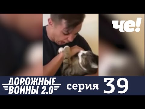 Дорожные войны | Сезон 8 | Выпуск 39