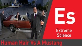 Can a Head of Human Hair Lift a Mustang? | Penn & Teller Tell a Lie