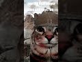 Pov bro says this