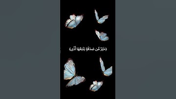 #تلاوة_عذبه #تلاوة_خاشعة #musliman #مسلم #قرآن #quran#muslima #آيه_من_كتاب_الله #تلاوات#تلاوة_القران