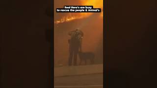 Big Act of Kindness by Real Hero's in Los Angeles Fire #animals #rescue #wildfire