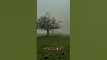 #اكسبلور #shortvideo #ترند #المصحف #لايك #islamsobhi #تلاوة_خاشعة #قرآن #قران_كريم #اسلام_صبحي