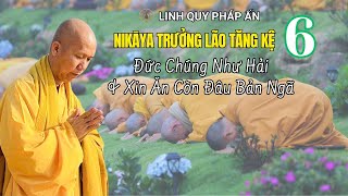 NIKAYA Trưởng Lão Tăng Kệ 6 - Đức Chúng Như Hải & Xin Ăn Còn Đâu Bản Ngã !