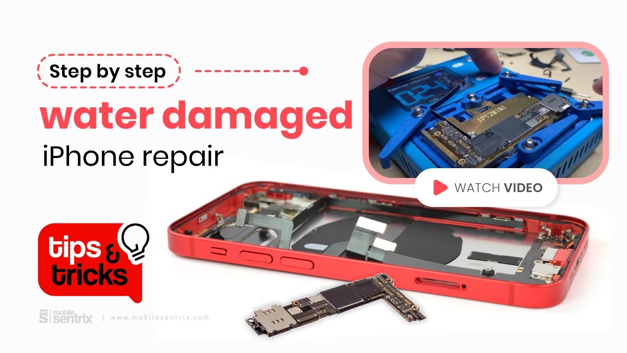 Fixing a Water Damaged iPhone 12 mini (Tips and Tricks 29) YouTube