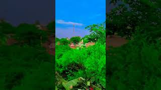 gaw very beautiful seen and garden 🏡🥰🥰🥰