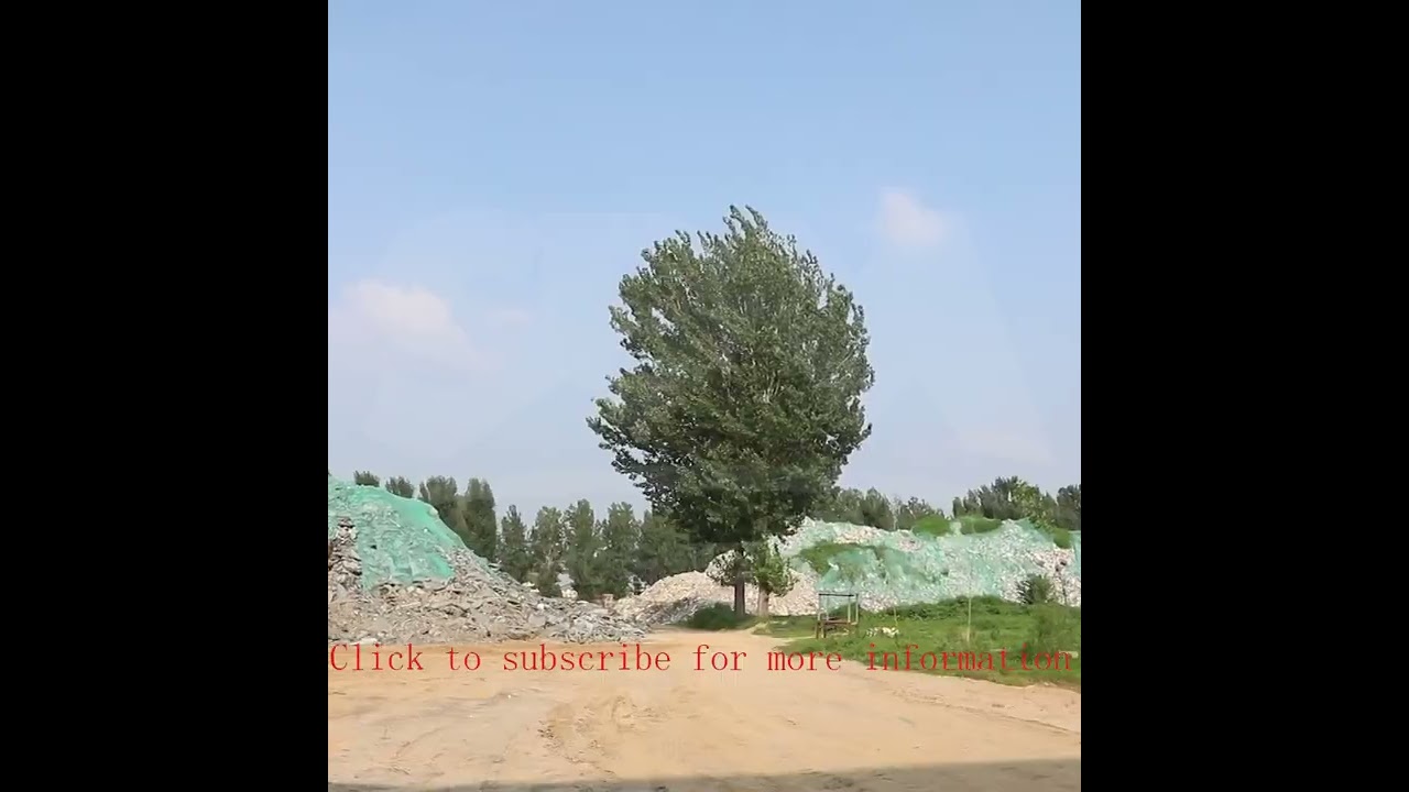 minerals & metallurgical processing