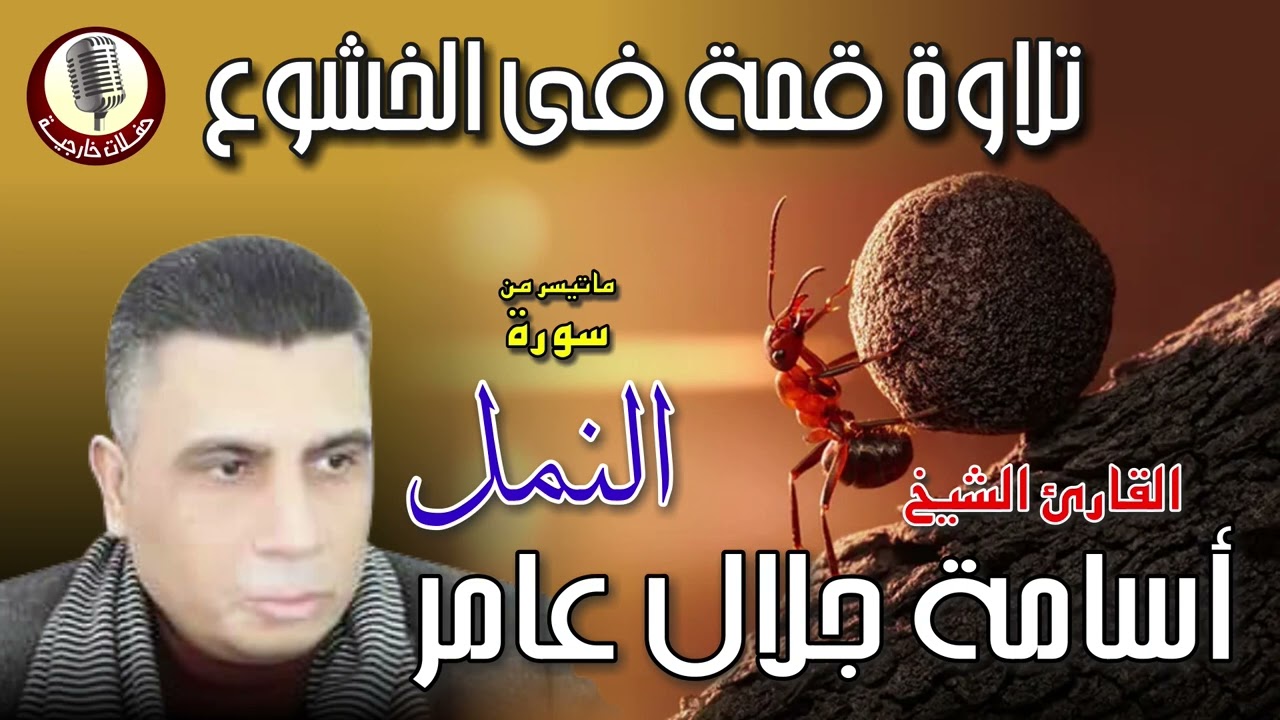 الشيخ اسامة جلال عامر 🎙️ ما تيسر من سورة النمل ✨🎧 تلاوة فى قمة الخشووع