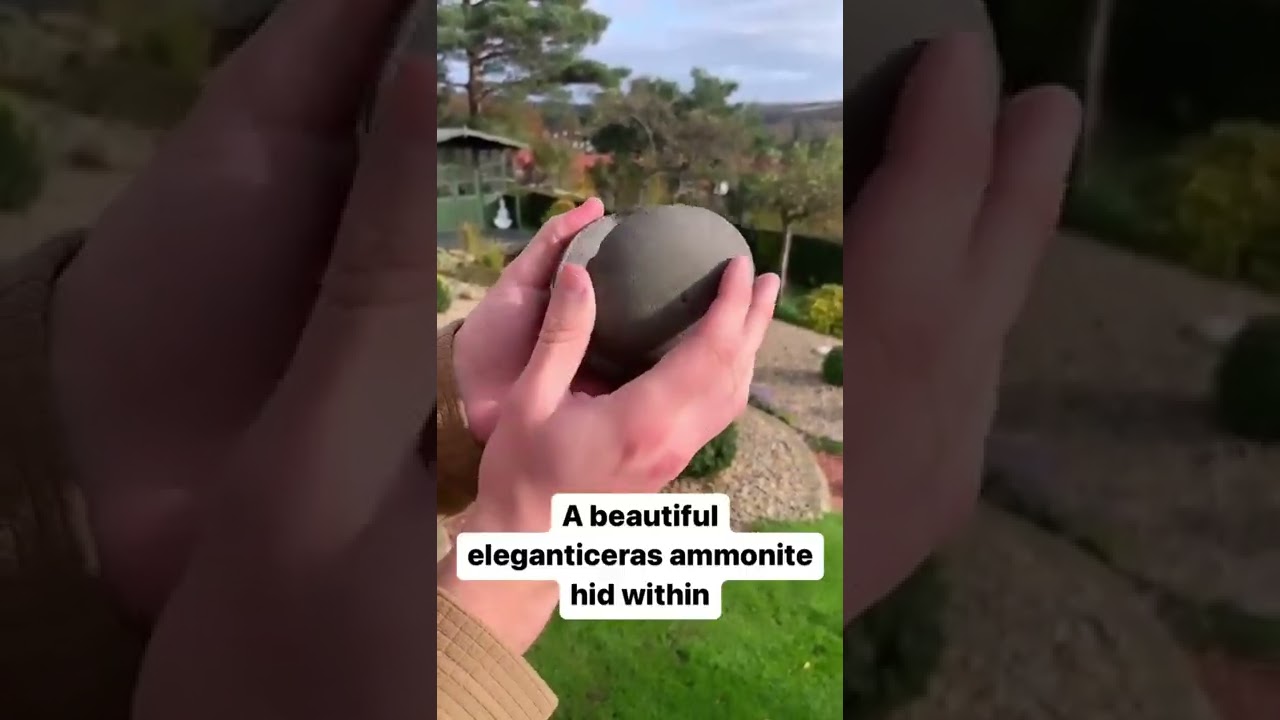 Perfectly Round Rock Cracked Open To Reveal THIS