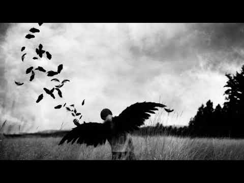 Grow Wings Subliminal || Become an Avian (NEW)