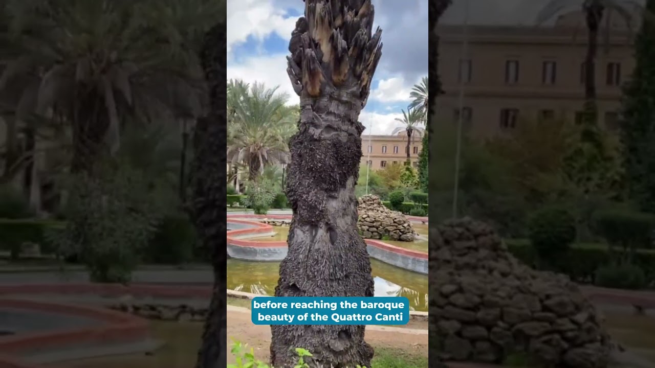 Palermo walking tour with Palazzo dei Normanni visit