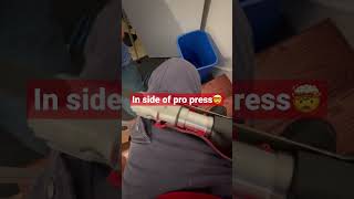 Milwaukee Progress, Pro Press?