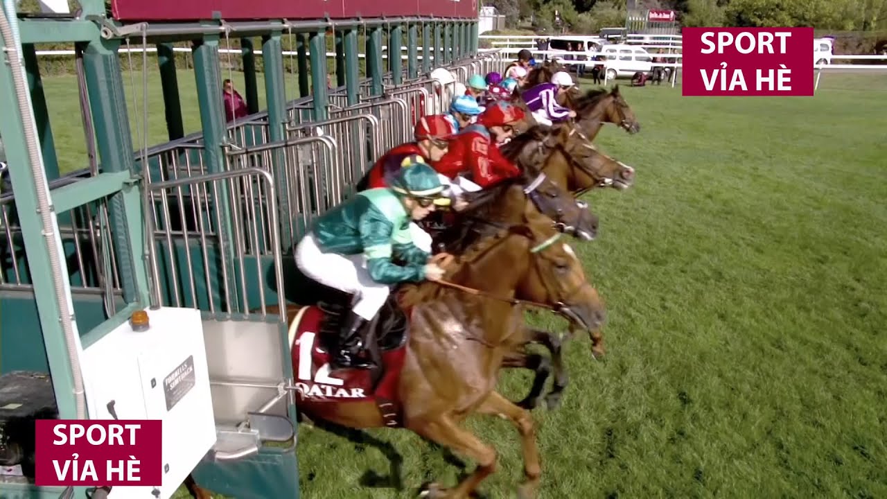 Đây có phải ngựa Xích Thố của Lữ Bố không nhỉ