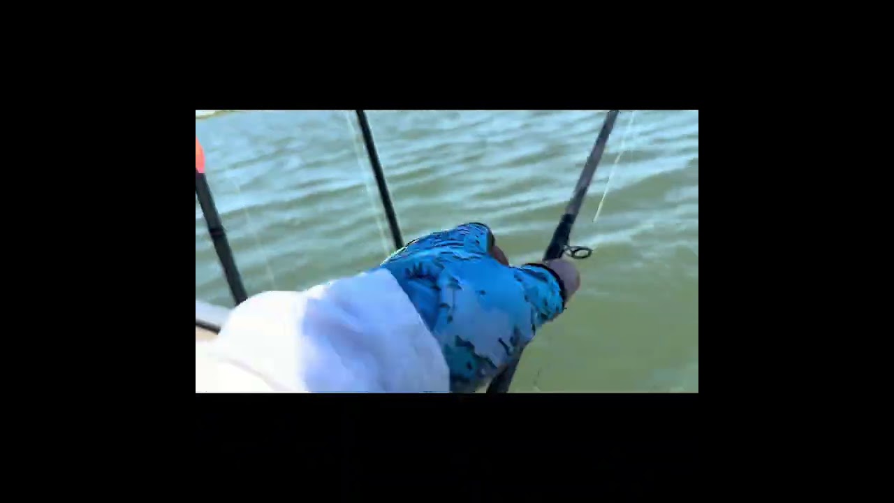 California Delta Striped Bass Fishing
