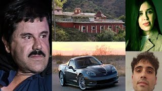 El Chapo- Lifestyle | Net worth | Young | Wife | Son | Family | Biography | Info
