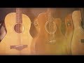 Електроакустична гітара IBANEZ AVD9CE-NT