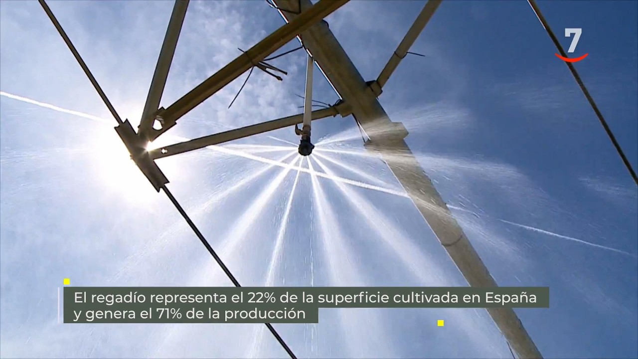 Flash El campo al día (17/04/2026) El regadío representa el 22% de la superficie cultivada en España