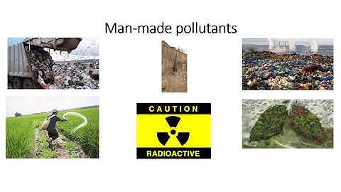 Standard 8: Lesson 8: Pollution: Part 3 of 3