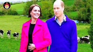 Breaking Silence: How Catherine's New Initiative Brings Hope During Her Cancer Fight