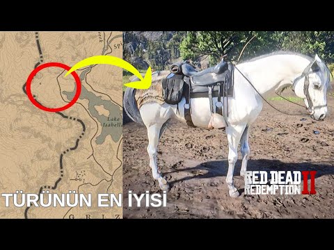 BEYAZ ARAP ATI İNCELEME RDR2  [Lokasyonu,özellikleri]