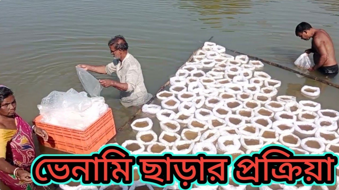 এভাবে ছাড়া প্রক্রিয়া। Cha Aqua Vision