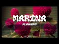 MARINA Flowers Lyrics mp3