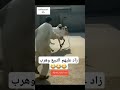 هرب التبيع تبيع العيد زاد عليهم التبيع وهرب
