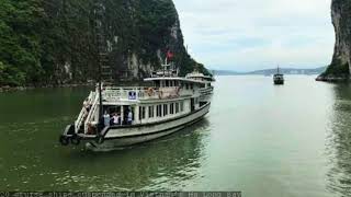 20 cruise ships suspended in Vietnam’s Ha Long Bay
