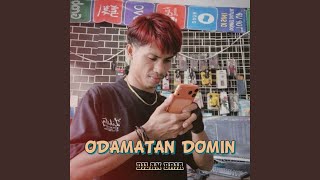Odamatan Domin