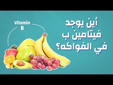 فيديو: أين تقع الماكولات بشكل عام؟