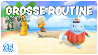 🎀 ROUTINE pour préparer la future déco ! #35 | Animal Crossing New Horizons